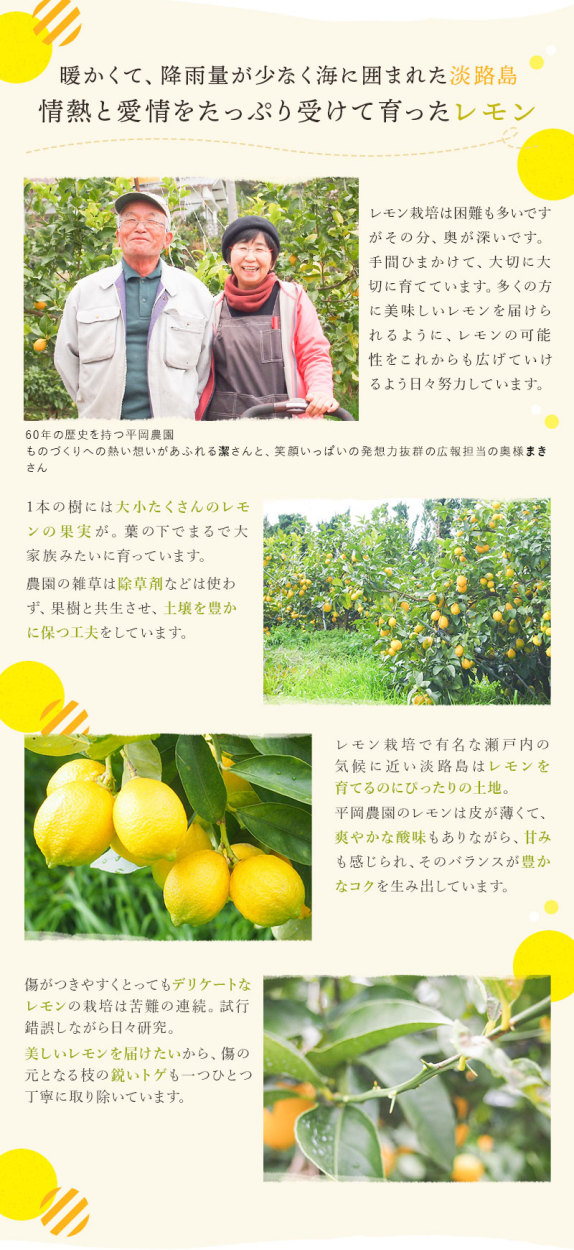 一番美味しいレモンを作る。品質と味にこだわり続けています。
