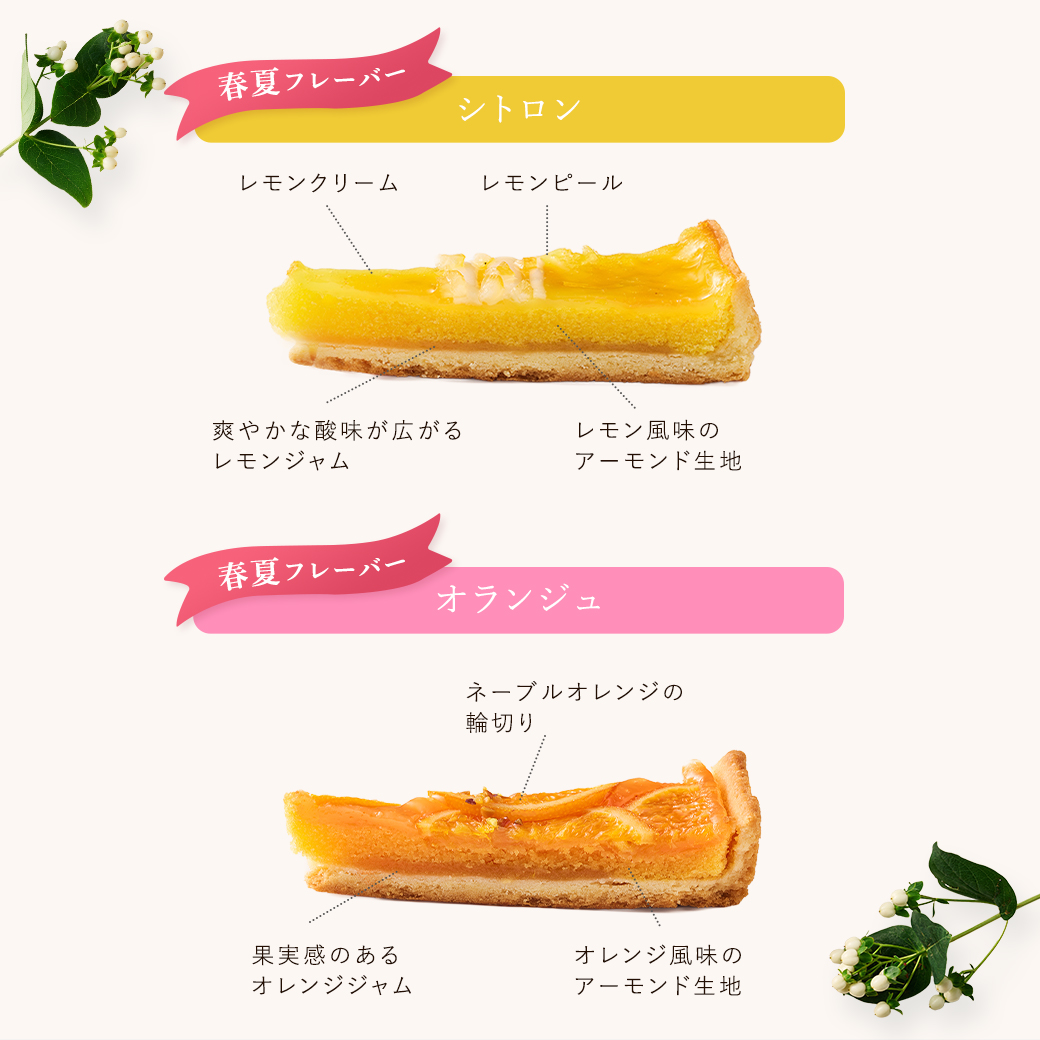タルト・フリュイ・アソート