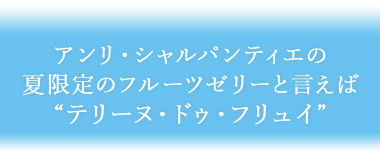 テリーヌ ドゥ フリュイ動画 アンリ シャルパンティエ Yahoo 店