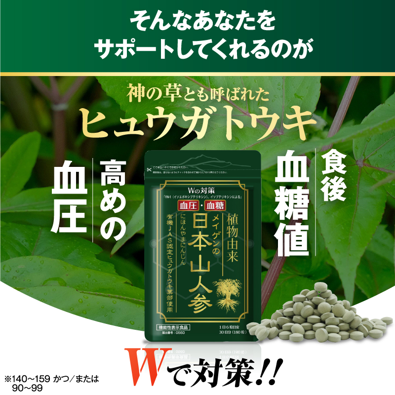 血圧 血糖値 を 下げる サプリメント 機能性表示食品 日本山人参 180粒