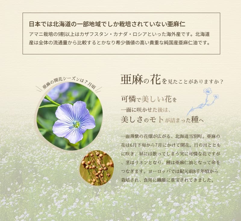 美しさのモトの詰まった亜麻仁種子