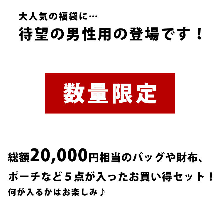 ブランドバッグ 財布 お楽しみ袋 メンズ