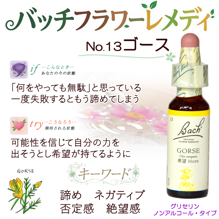 バッチフラワーレメディ 13ゴース ノンアルコープタイプ 10ml
