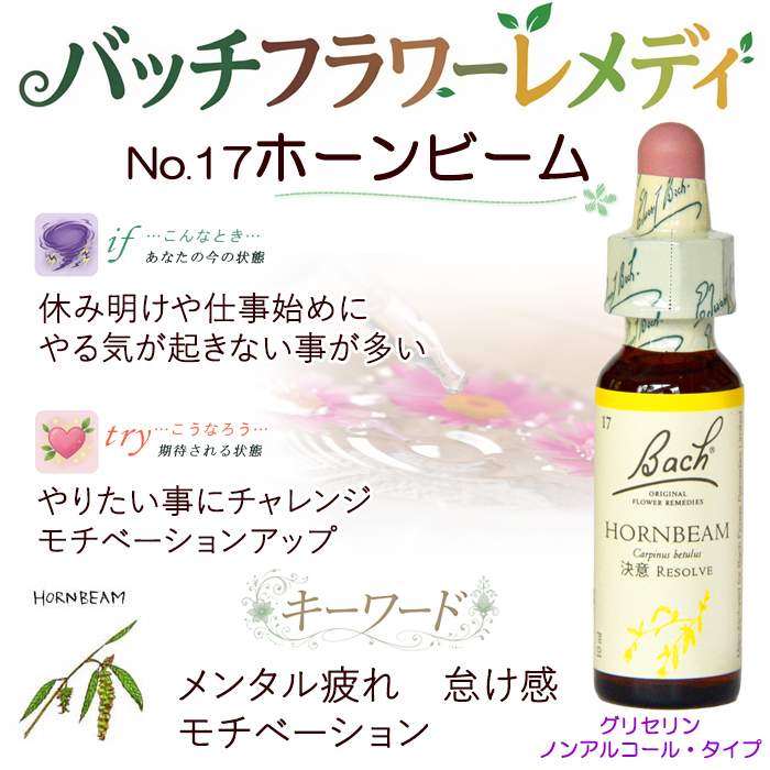 フラワーエッセンスのおすすめ人気商品一覧 通販 - Yahoo!ショッピング