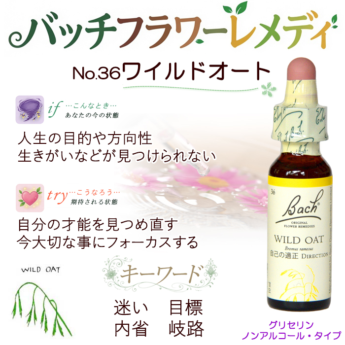 バッチフラワーレメディ 36ワイルドオート ノンアルコープタイプ 10ml