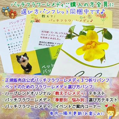 バッチフラワーレメディ 19ラーチ ノンアルコープタイプ 10ml