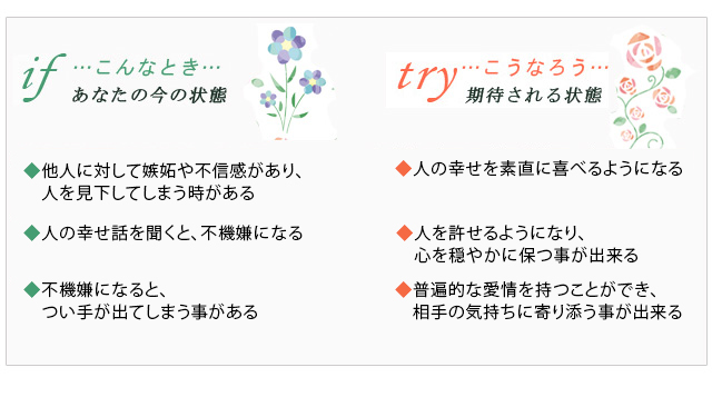 バッチフラワーレメディ 15ホリー ノンアルコープタイプ 10ml