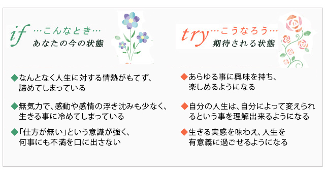 バッチフラワーレメディの商品一覧 通販 - Yahoo!ショッピング