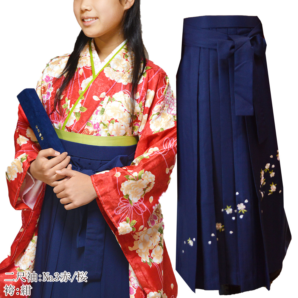 着物 刺繍 袴 3点 セット 二尺袖 振袖 女性 卒業式 袴セット はかま