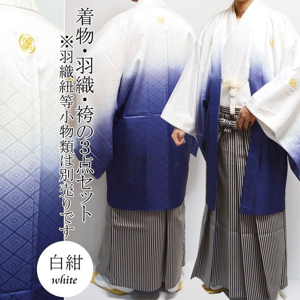 紋服(生絹) 羽織 着物 袴 襦袢 4点セット 3号、10号 小物セット3点-