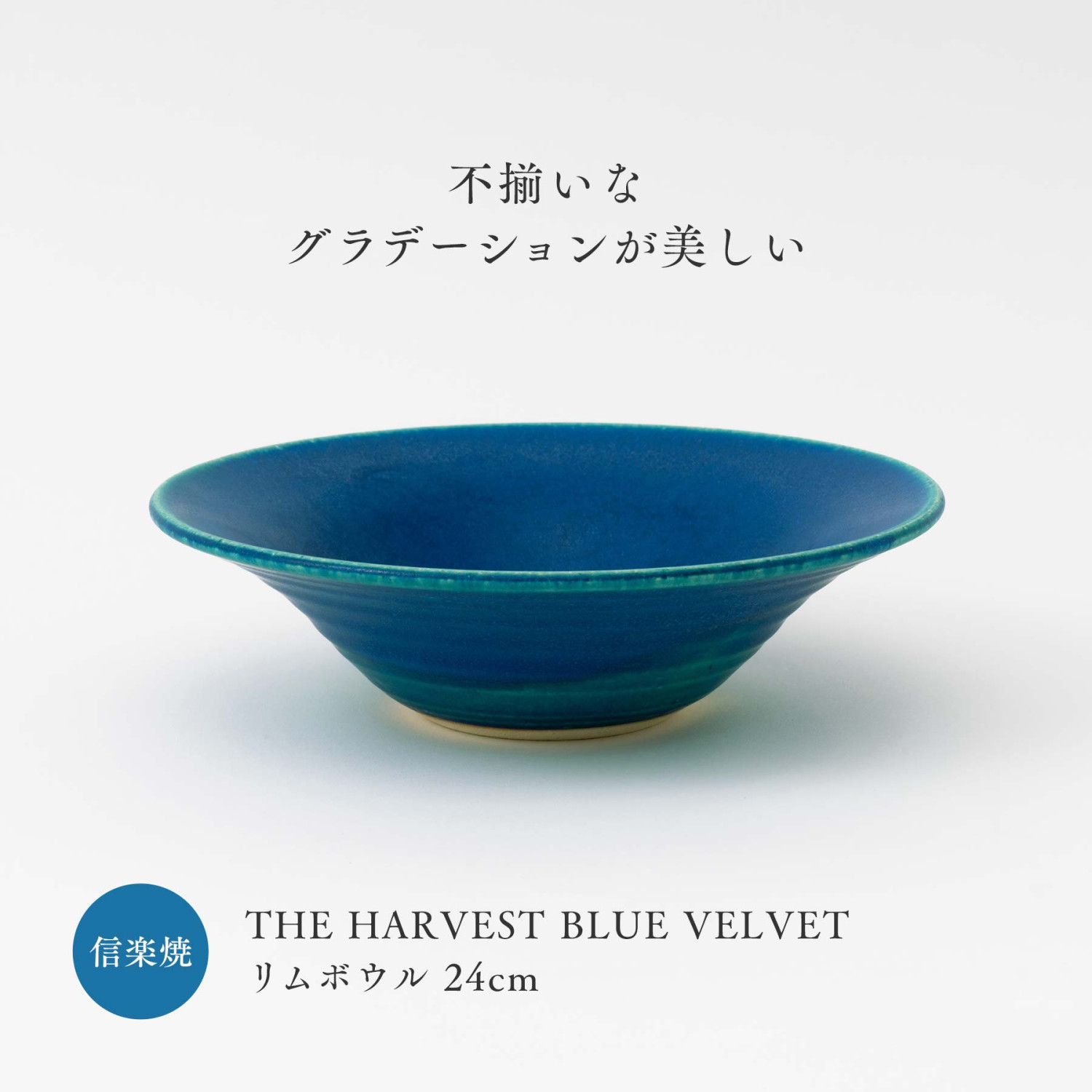 中皿 21cm 信楽焼 フラットプレート BLUE VELVET 食器 和食器 皿 丸