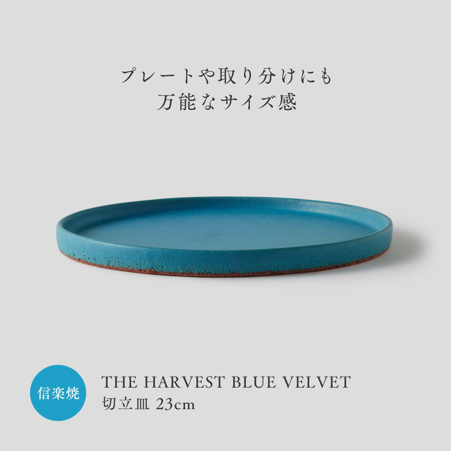 中皿 21cm 信楽焼 フラットプレート BLUE VELVET 食器 和食器 皿 丸