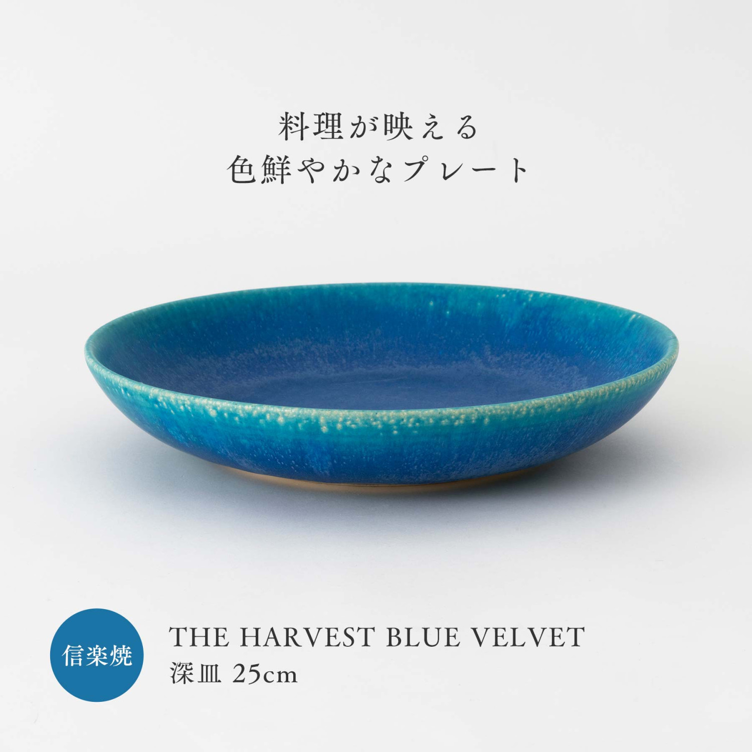 深皿 鉢 25cm ディープブルー SOIL 信楽焼 琵琶湖ブルー 食器 和