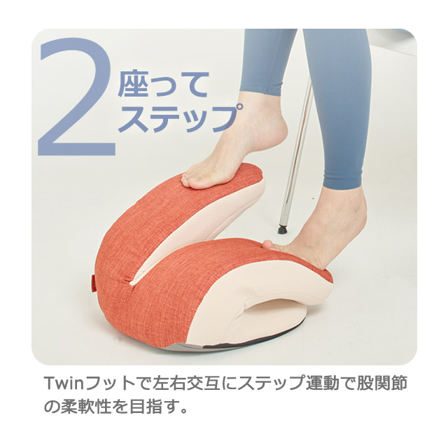バウンドクッションTwin (ツイン) 