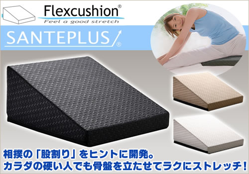 フレックスクッションDVD ストレッチ&エクササイズ : ルネサンス