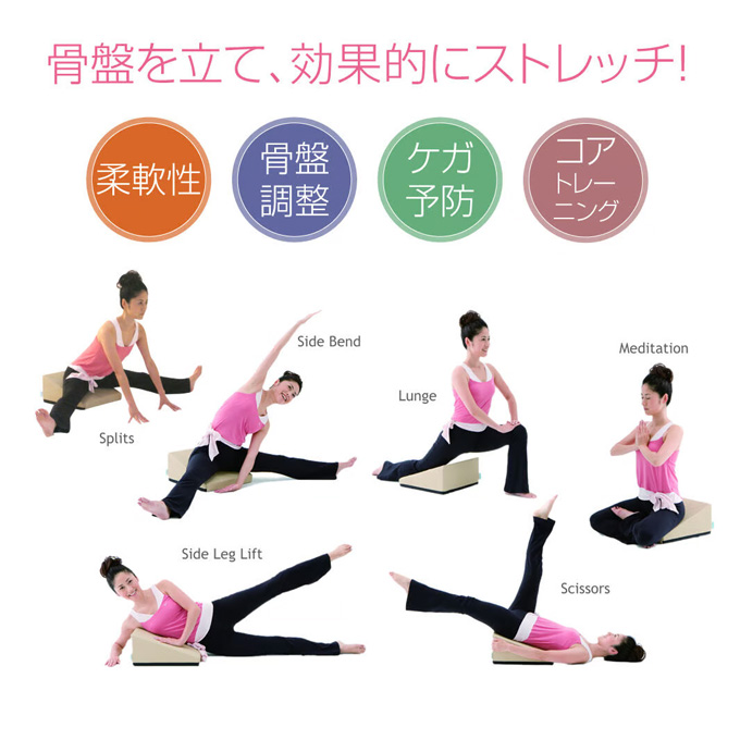 サンテプラス フレックスクッション＆DVDセット : ルネサンスYahoo