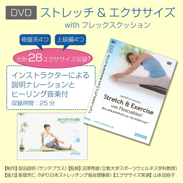 サンテプラス フレックスクッション＆DVDセット : ルネサンスYahoo