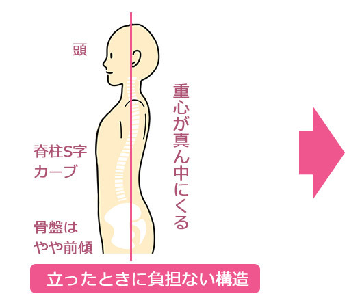 立つのに負担のかからない構造