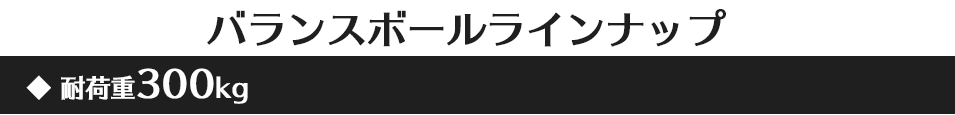 耐荷重300kgラインナップ