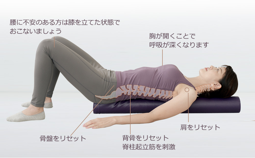 リセットポールスリム