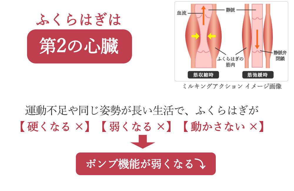 スタイリーレッグ