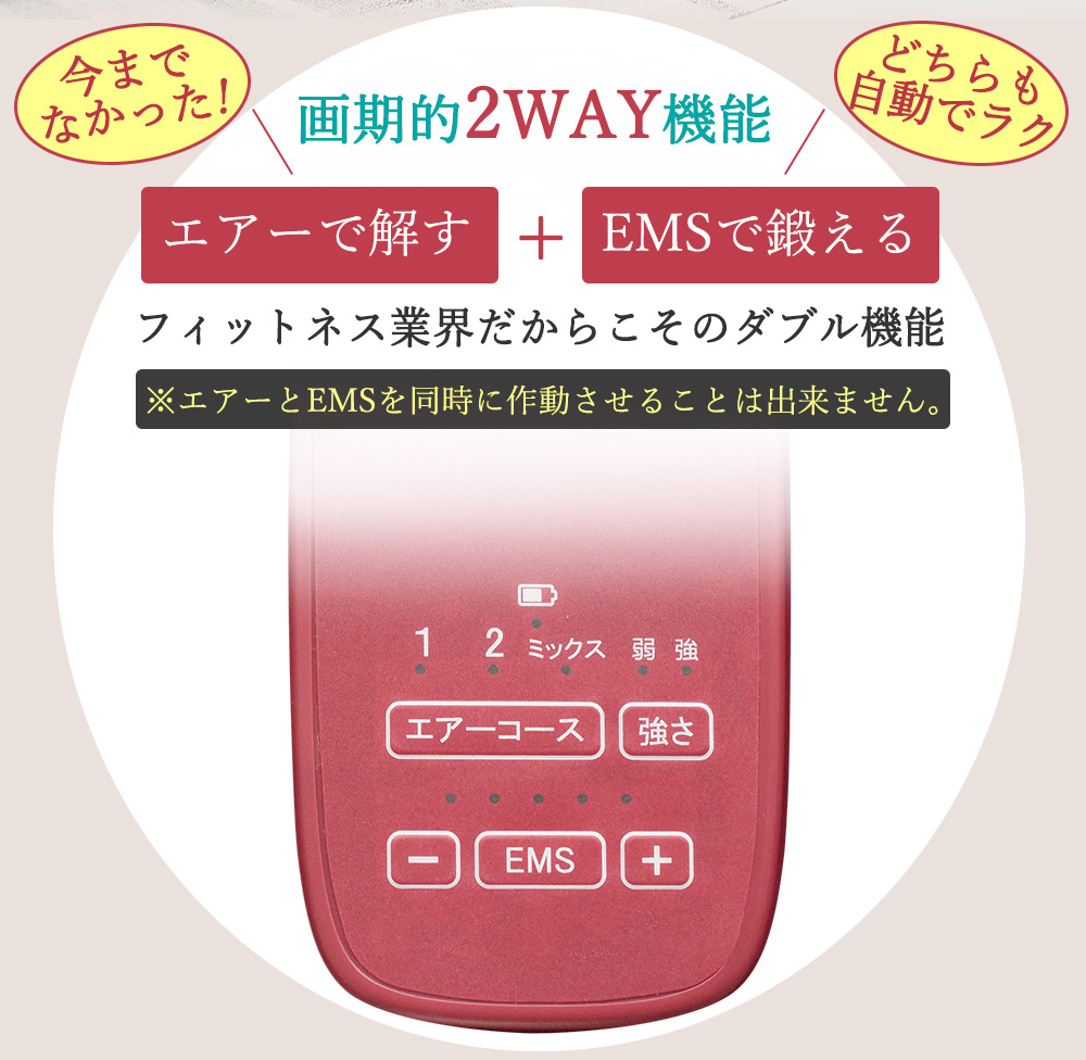 スタイリーレッグ