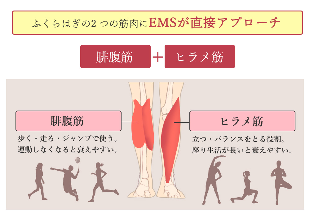スタイリーレッグ