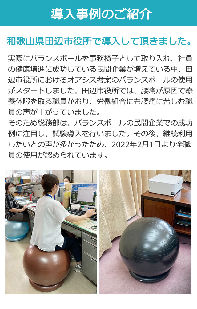導入例