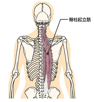 現代人のほとんどが「こり」や「痛み」に悩まされている！