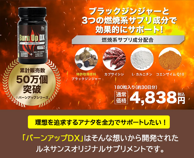 Re ルネサンス バーンアップDX 45g（250mg×180粒）ブラックジンジャー