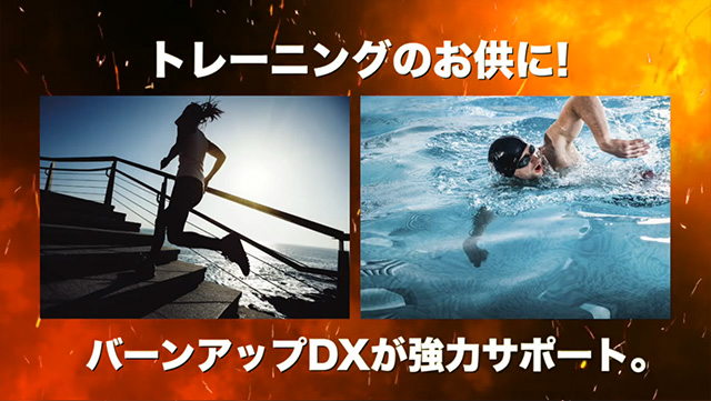 Re ルネサンス バーンアップDX 45g（250mg×180粒）ブラックジンジャー