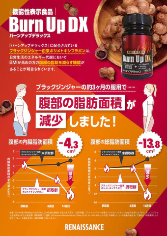 Re ルネサンス バーンアップDX 45g（250mg×180粒）ブラックジンジャー 