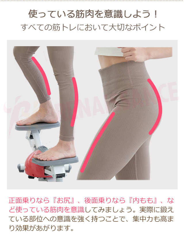 ツイストステッパー SP-100