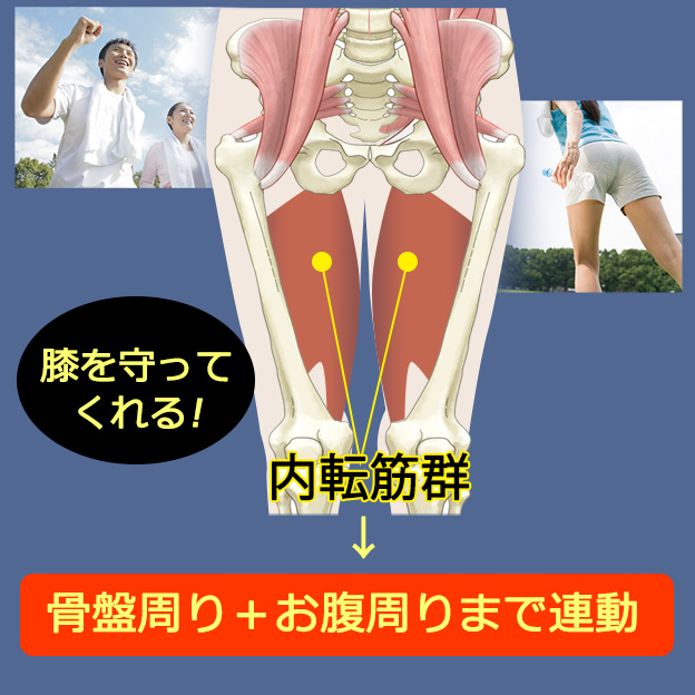 スタイリーボール