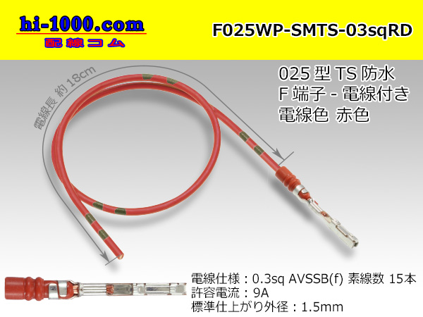 F025WP-SMTS-03sqRD