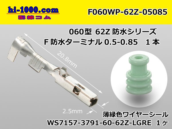 F060WP-62Z-05085