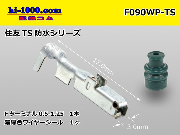 F090WP-TS