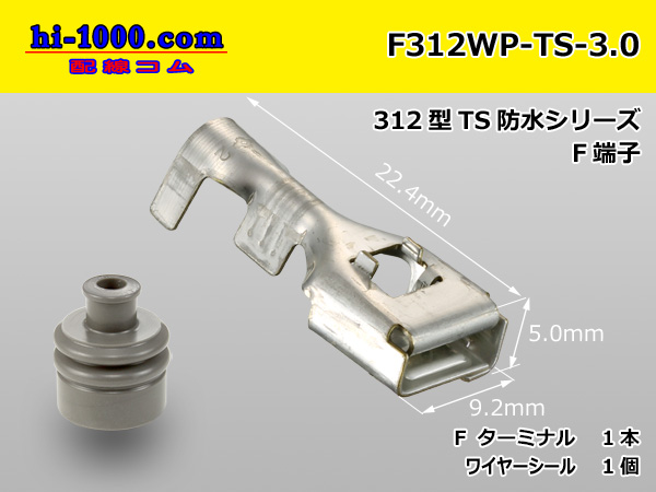 F312WP-TS-3.0