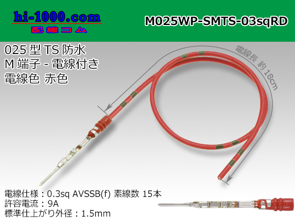 M025WP-SMTS-03sqRD