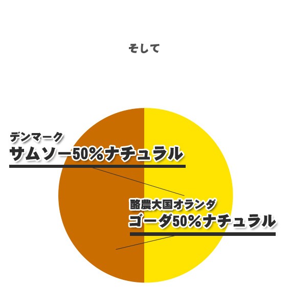 チーズ 無添加 とろけるチーズ 業務用 セルロース不使用 ゴーダ 50％＋サムソー 50％の贅沢配合 こだわる大人のとろける配合 800g シュレッドチーズ  :zik-gch-mix-800g:ハイ食材室 - 通販 - Yahoo!ショッピング