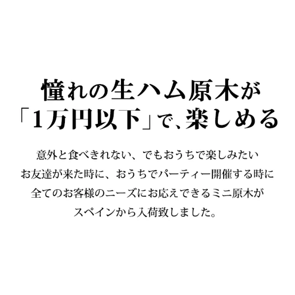 送料無料 生ハム 原木 ミニ セット 絶妙な大きさの生ハム原木！1kgすぐ