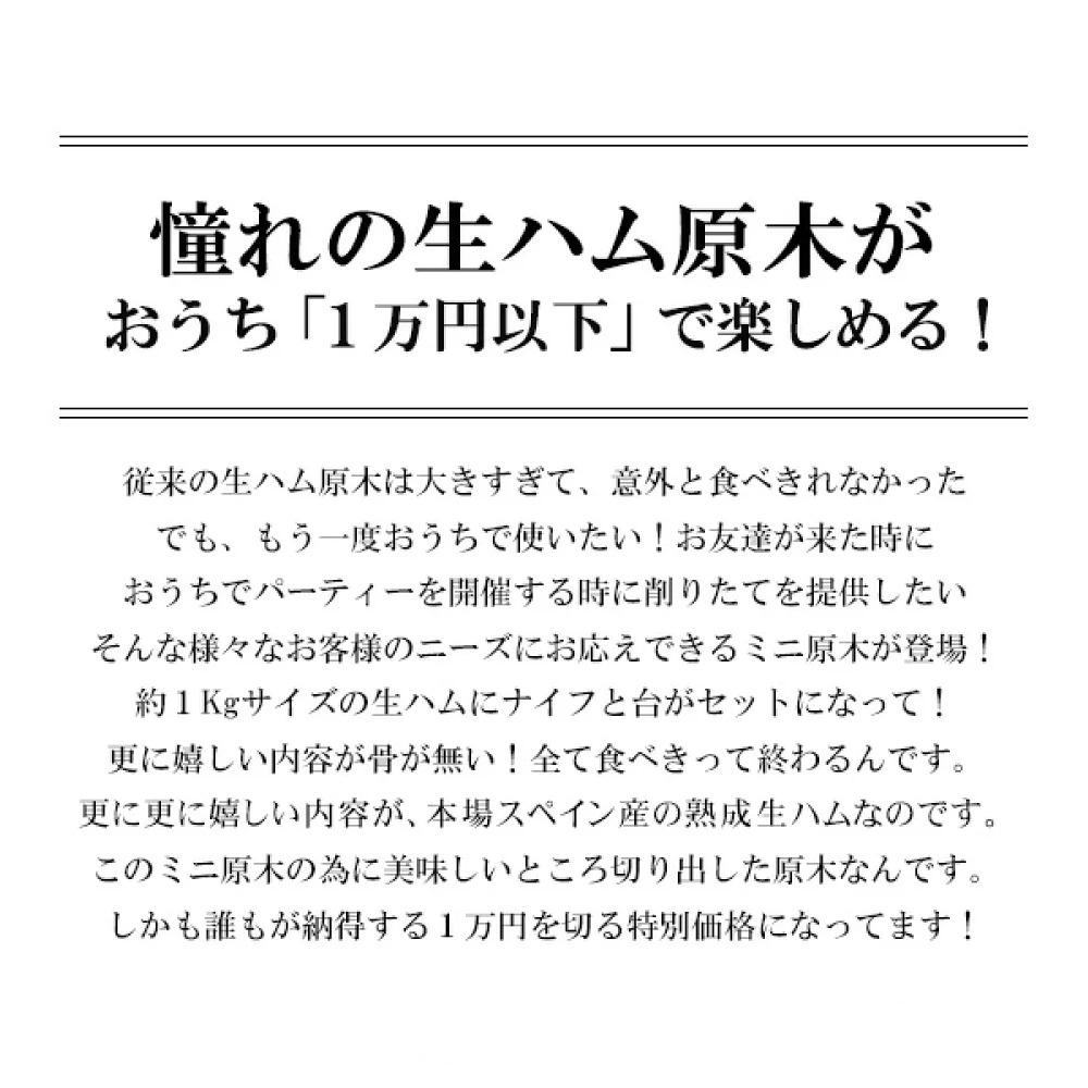 送料無料 生ハム 原木 ミニ セット 絶妙な大きさの生ハム原木！1kgすぐ