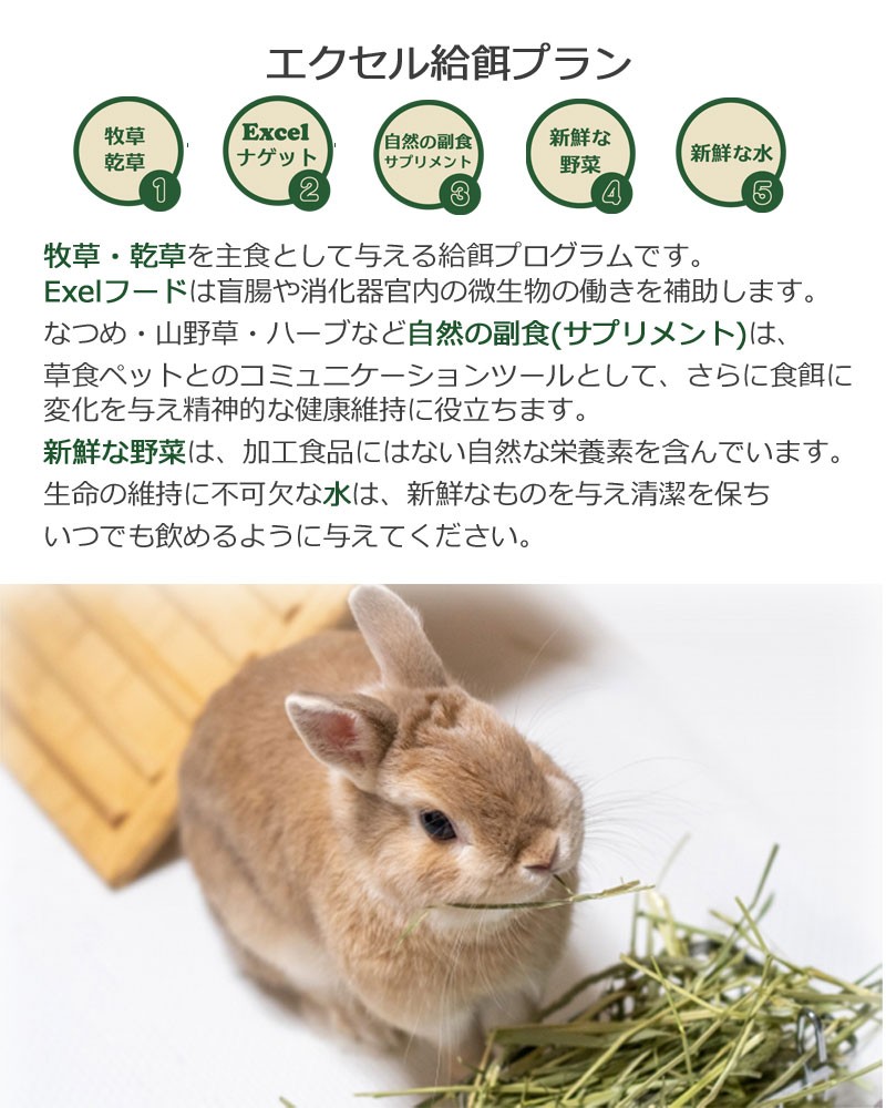 Burgess エクセル ラビット アダルトwithオレガノ 2kg うさぎ フード ペレット :5023861115862:ハーイわんこにゃんこ -  通販 - Yahoo!ショッピング