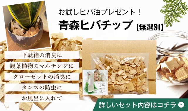 タイトル画像