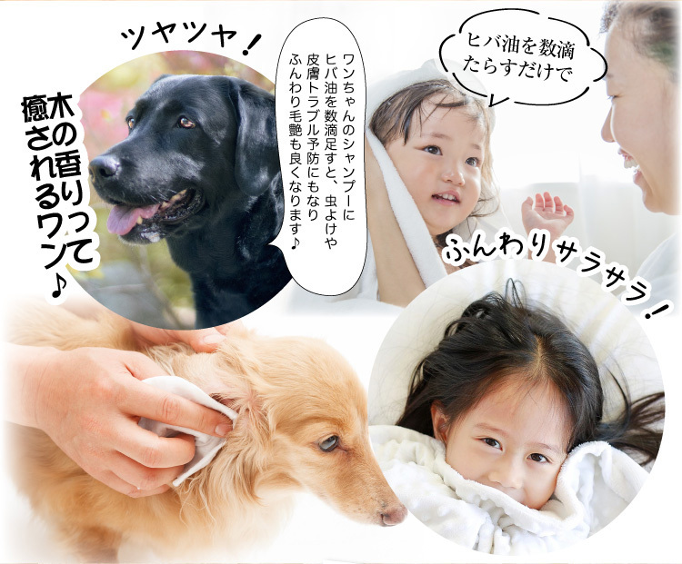 最安値に挑戦 ヒバノワ全品まとめてセット 青森ヒバ油 ml ヒバ蒸留水スプレー 30ml ヒバチップg ハッカ油5ml Aynaelda Com