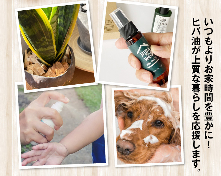 最安値に挑戦 ヒバノワ全品まとめてセット 青森ヒバ油 ml ヒバ蒸留水スプレー 30ml ヒバチップg ハッカ油5ml Aynaelda Com