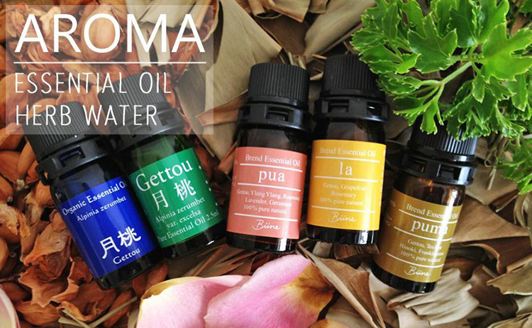 月桃 エッセンシャルオイル 精油 シマ月桃 5ml 日本月桃 沖縄 お土産