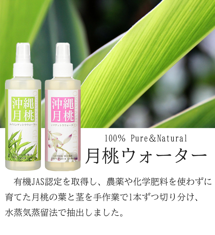月桃水 化粧水 月桃蒸留水 シマ月桃 200ml×3本 送料無料 日本月桃