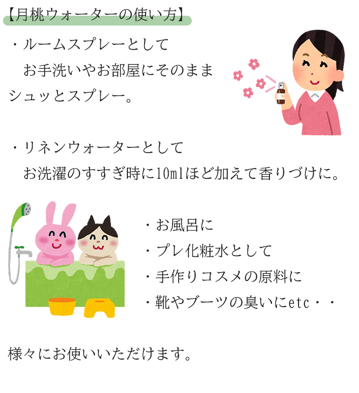 月桃水 化粧水 月桃蒸留水 シマ月桃 200ml×3本 送料無料 日本月桃
