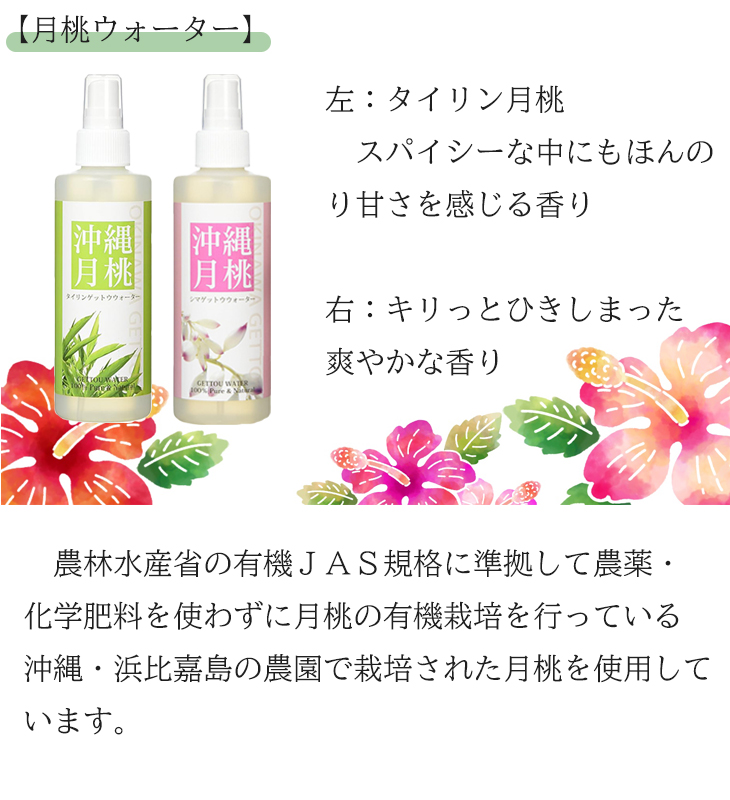 gettou-w-4-.jpg